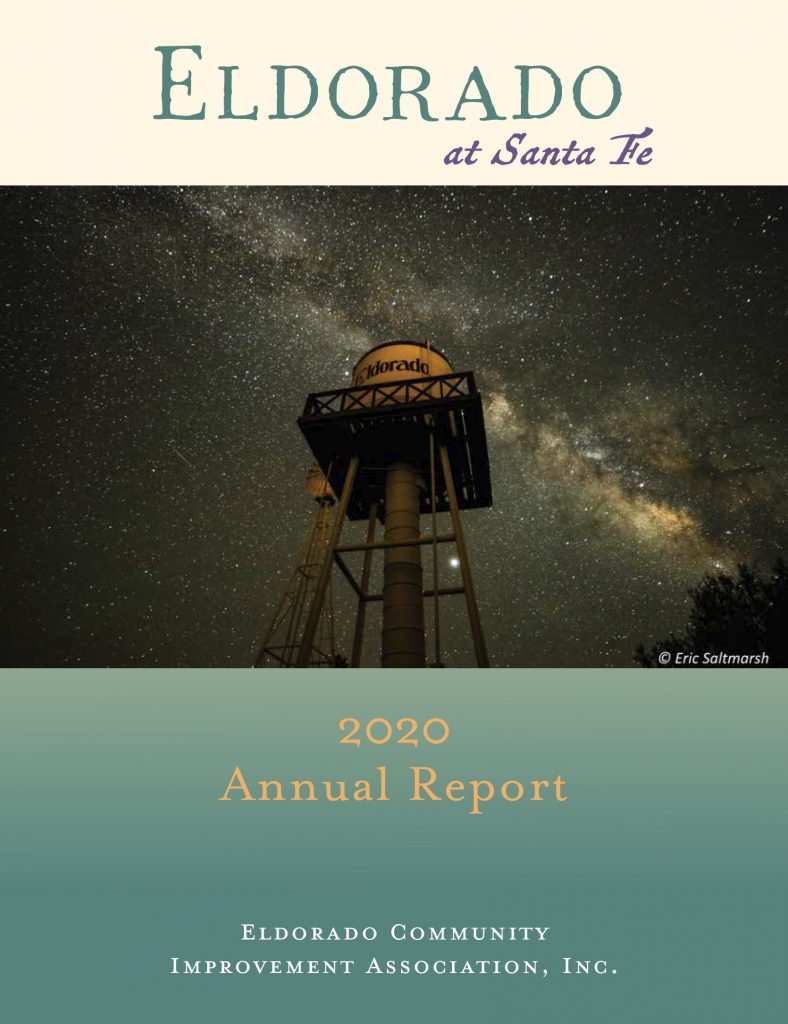 2020 ECIA Annual Report Cover